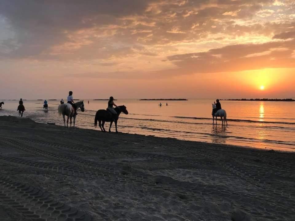 Villa Demi Lido di Pomposa Buitenkant foto